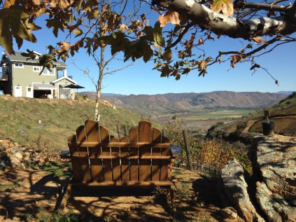 photo of bench overlooking vineyard